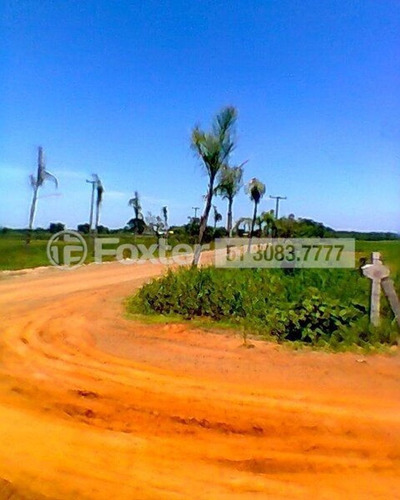Imagem 5 de 12 de Terreno, 66000 M², Harmonia - 173430