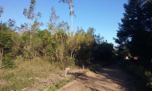 Imagem 3 de 9 de Área Rural Para Venda Em Sertão Santana, Linha Alfredo Silveira - Sertão Santana - 3026_1-820982