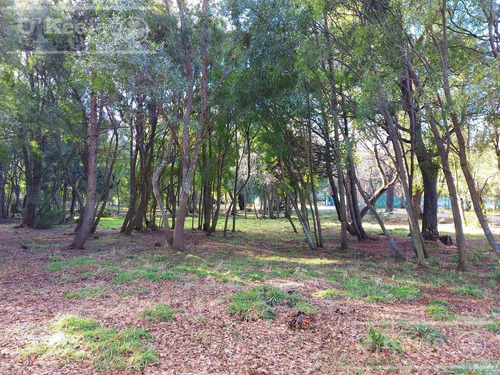 Imagen 6 de 9 de Excelente Terreno A La Venta En Barrio Cerrado Bariloche