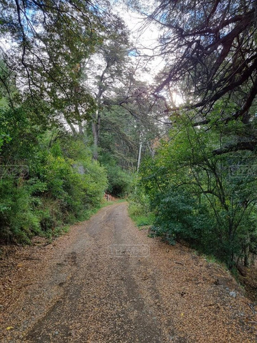 Imagen 20 de 24 de Terreno Lote En Venta Ubicado En Valle Escondido, Bariloche, Patagonia