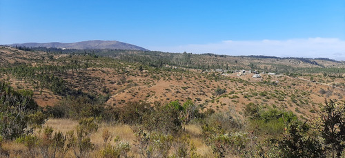 Hasta 9 Terrenos De 1ha A 42ha Total Aprox: 130ha La Rudilla