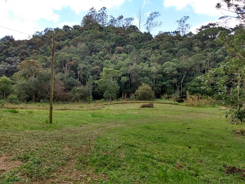 Imagem 15 de 30 de Sítio À Venda Em São Lourenço Da Serra; Sitio Com Piscina À Venda Em São Lourenço Da Serra Sp - 226 - 32982509