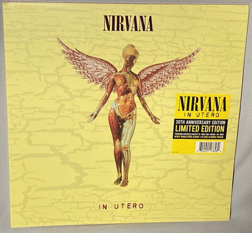 Vinilo Lp In Utero Nirvana 30 Aniversario Lp-ep 10 Pulgadas