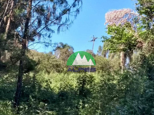 Chácara À Venda, 21000 M² Por R$ 160.000,00 - Centro - Rio Branco Do Sul/pr - Ch0030