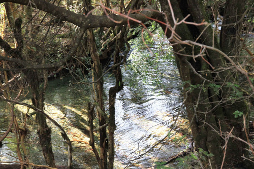 Campo De 326 Hectáreas En Llanada Grande, Cochamó.