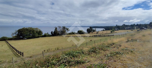 Sitio - 5.000 M2 Cada Uno - Cascadas - Puerto Octay