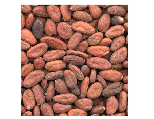 1  Kg  Semillas De Theobroma Cacao - Ideal Tostar.