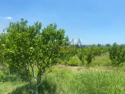 Rancho en venta
