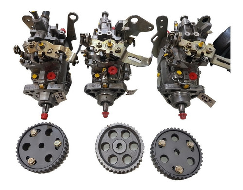 Bomba Inyectora Reforma Kangoo 1,9 Reparada  Y Calibrada (Reacondicionado)