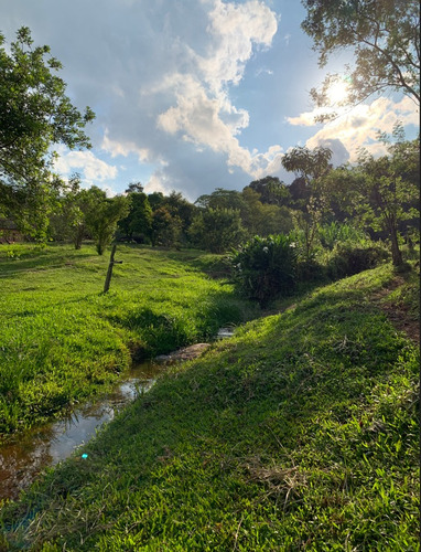 Chacra En Venta De 28 Ha En Campo Viera Misiones