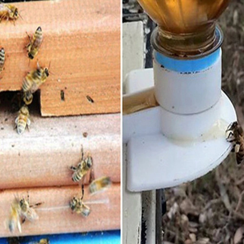 3 Un Alimentador Para Abelhas Tipo Externo Para Garrafas Pet