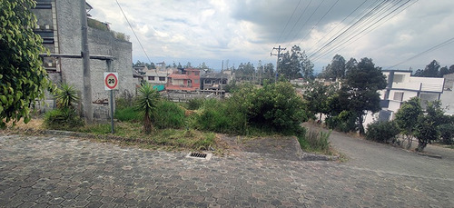 Imagen 9 de 13 de Terreno Urbanizacion El Manantial