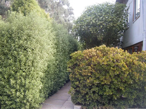 Turística En Venta En El Quisco