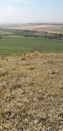 Chácara À Venda, 20.000 M² Ribeirão Preto/sp - Ch0053