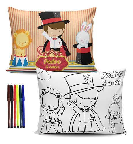 25 Almofadas Pinte E Lave Pintar Colorir 15x20 Vários Temas