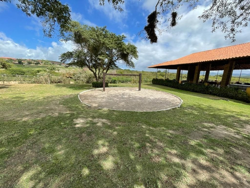 Imagem 14 de 30 de Terreno No Monte Castelo, À Venda - Gravatá/pe - Te0507