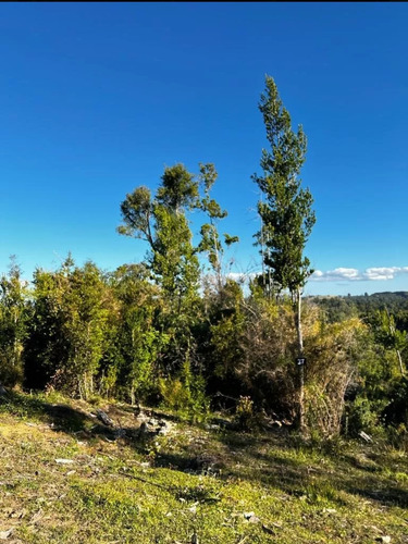 Terreno De Media Hectarea