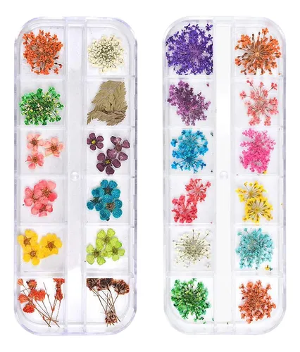 Teoyall 24 Colores De Flores Secas Para Arte De Uñas, 2
