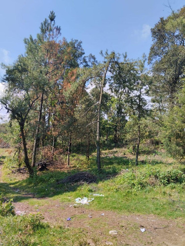 Terreno Plano Con Todos Los Servicios
