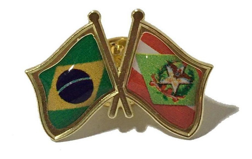 Pin Da Bandeira Do Brasil X Santa Catarina