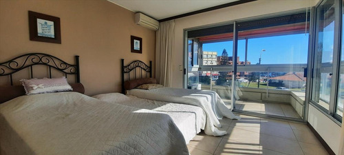 Imagen 12 de 19 de Vendo Apartamento 3 Dormitorios Mansa Punta Del Este