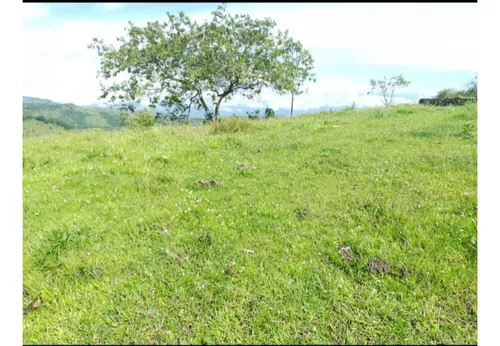 Lote En Venta En San Jerónimo