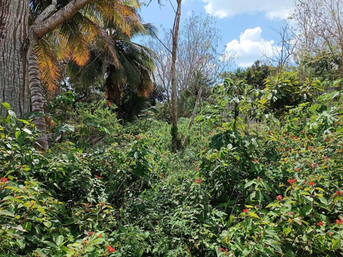 Terreno En Venta En Bacalar Centro