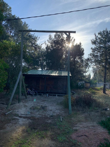 Cabaña De Madera Con Pilares De Hormigón, Entorno Natural