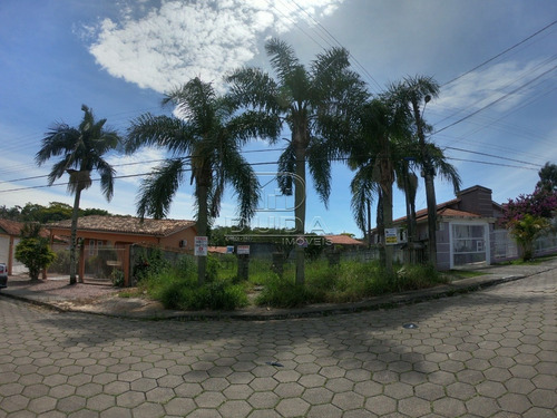 Terreno - Jardim Angelica - Ref: 29106 - V-29104