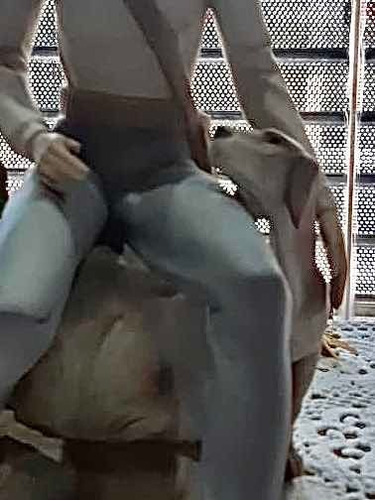 Campesino Con Su Perro Figura Porcelana Made In Spain 28 Cm