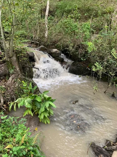 Vendo Finca En Machetá Cundinamarca A 1.5 Horas De Bogotá!