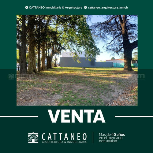 Terreno Lote  En Venta En Alejandro Petion, Cañuelas, Resto De La Provincia