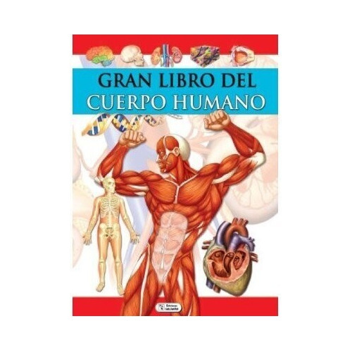 Gran Libro Del Cuerpo Humano Enciclopedia Infantil - Saldaña