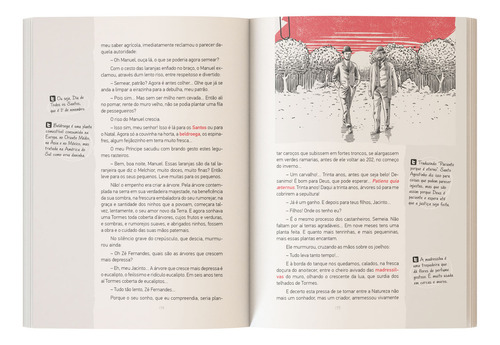 A cidade e as serras, de Queirós, Eça de. CLASSICOS.COM Editorial Panda Books, capa mole em português, 2021