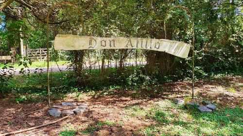 Imagen 25 de 30 de Casa Quinta 6 Amb Quincho Parrilla Pileta 5 Lotes Arbolados En Alejandro Petion Cañuelas