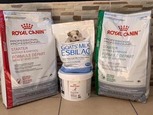 Alimento Royal Canin