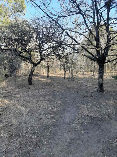 Imagen 6 de 13 de Se Vende Fracción De 17 Hectáreas