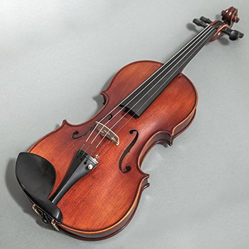 Sky Fl001-gx Violín Profesional Hecho A Mano De Tamaño Compl