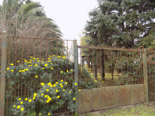 Casa Quinta, De 4 Hectareas Con 2 Viviendas Con Cochera, Deposito, Parque Y Parrilla