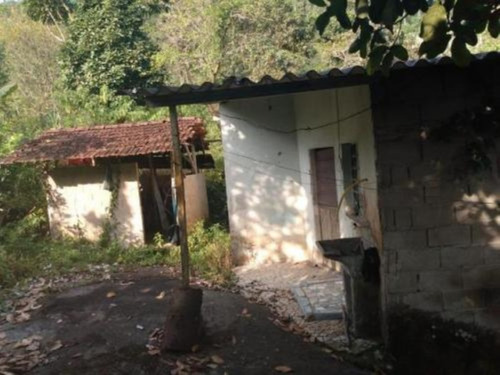 Imagem 8 de 19 de Sítio Em Itariri, Com 242.000 M² De Área Total E Com Diversas Árvores Frutíferas, 05 Nascentes E Riacho Com Pequena Cachoeira, Analisa Veículo Como Parte De Pagamento Ref: 7269/ac