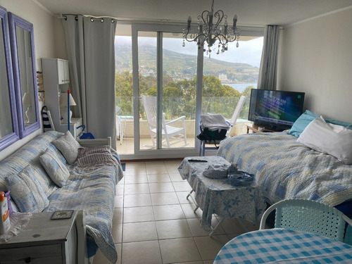 Imagen 2 de 25 de Arriendo Lindo Departamento Por Días O Temporada.