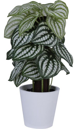 Planta Artificial Iresine Verde Con Pote 16 X 16 X 25 Cm