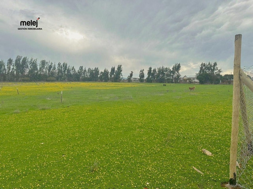 Venta Terrenos En Los Laureles, Limache