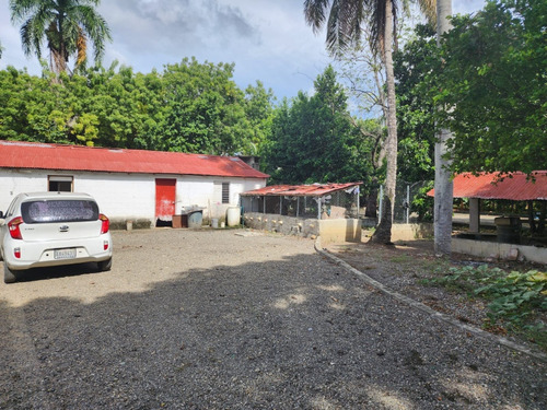 Granja Avicola Ventas La Ciénaga