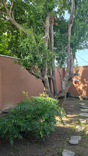 Casa Lagoa Iguaba Grande Temporada