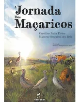 Comprar A jornada dos maçaricos, de Fieker, Carolline Zatta. Editorial EDUFSCAR, capa mole em português, 2020
