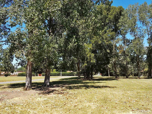 Imagen 13 de 14 de Terrenos En Venta Del Viso Pilar Barato Zona Norte