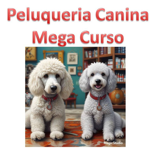 Peluqueria Canina Videocurso