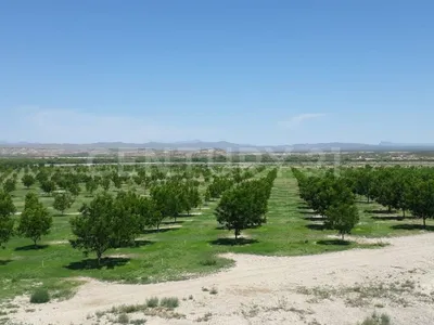 Rancho en venta