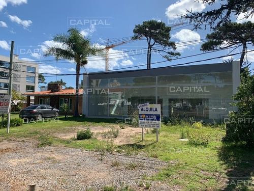 Local En Venta - Punta Del Este- Ref: 29026